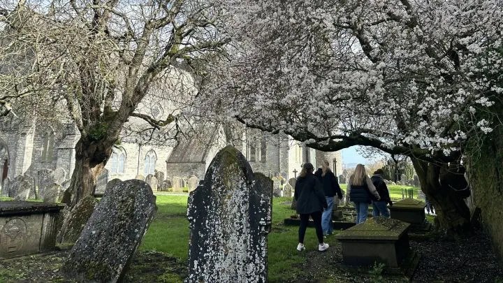 See Kilkenny's landmarks on a guided cycling tour